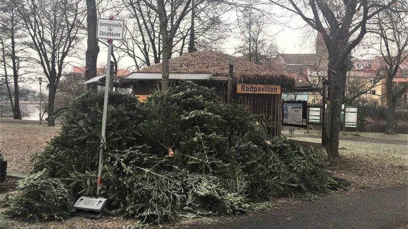 An der Sammelstelle in der Stadellohe türmen sich die entsorgten Christbäume.