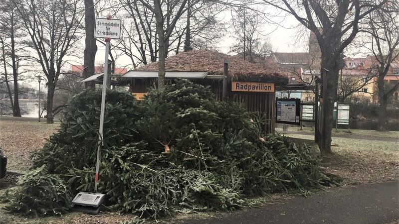 An der Sammelstelle in der Stadellohe türmen sich die entsorgten Christbäume.