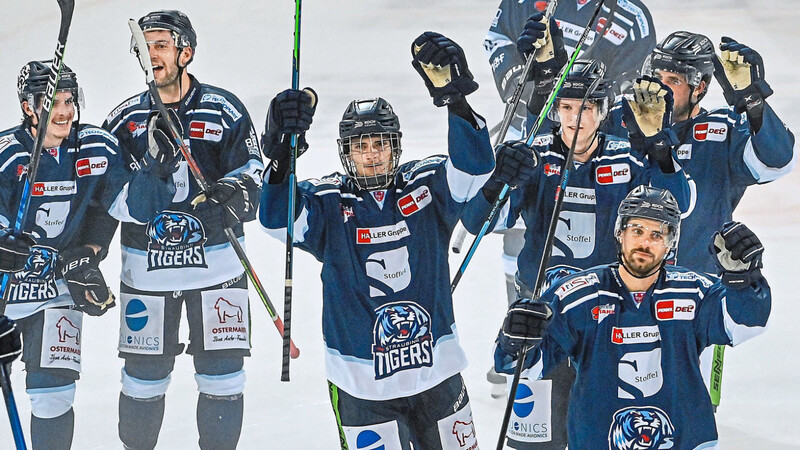 In letzter Zeit haben die Straubing Tigers viele Gründe zu feiern. Mit einem Sieg bei den Iserlohn Roosters könnten sie sich sogar das Heimrecht im Playoff-Viertelfinale sichern.