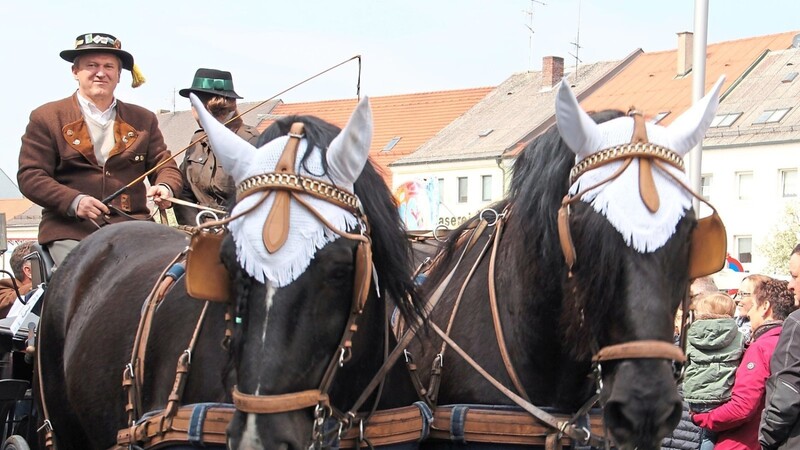 Vorfreude ist bekanntlich die schönste Freude: Es wird wieder einen Rosstag geben: Am 10. April mit Festzug und Pferdeschau.