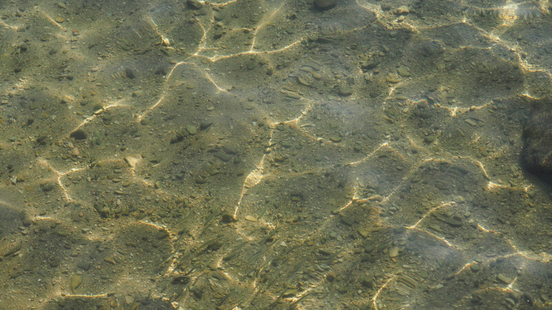 Die Kripo Erding sucht aktuell nach einem Mann, der am vergangenen Freitag am Marzlinger Weiher vor den Augen einer 16-jährigen Jugendlichen onanierte. (Symbolbild)