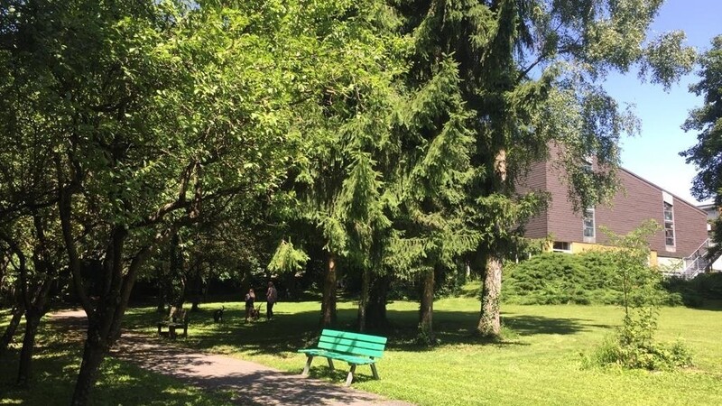 Nicht alle Stadträte sind von der Bebauung des Grundstücks überzeugt.