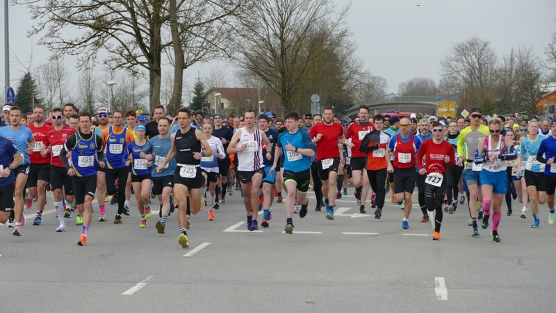 Über 500 Läuferinnen und Läufer sind am Sonntag beim 17. Elypso-Halbmarathon bei guten Bedingungen gestartet.