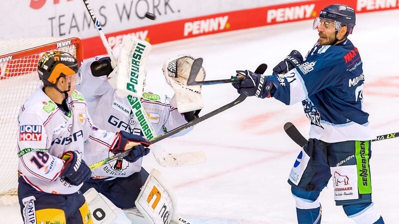 Eine bissige Einstellung habe in dieser Woche im Training geherrscht, sagt Tigers-Trainer Tom Pokel. Die wollen Kael Mouillierat (r.) und Co. nun auch ins Spiel gegen Bietigheim transportieren.