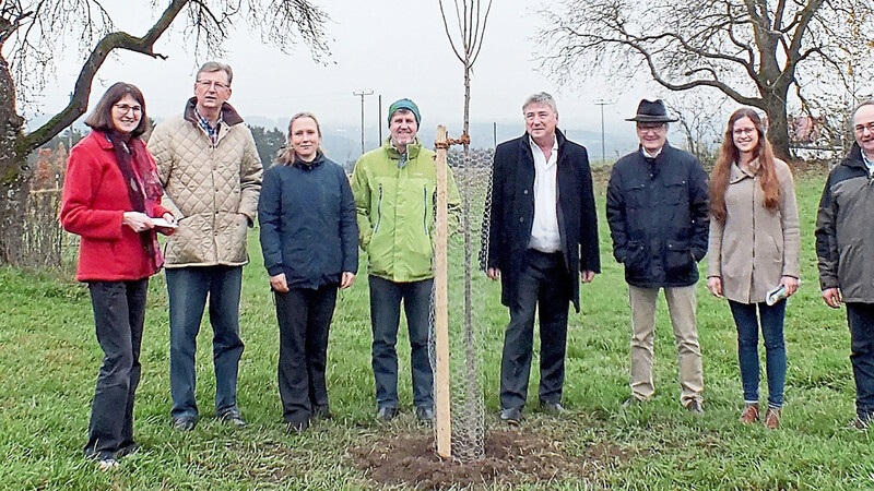 Bei der Begutachtung der neuen Streuobstwiese in Willersberg (von rechts): Bürgermeister Ludwig Ettl, Falkenfels, Julia Schnurrer vom Landschaftspflegeverband, Grundstückseigentümer Franz Pfeffer, Bürgermeister Wolfgang Zirngibl, Ascha, Peter Aigner vom Amt für Ländliche Entwicklung, Johanna Götter, Höhere Naturschutzbehörde, Alexander Straub, Untere Naturschutzbehörde und Roswitha Schanzer vom begleitenden Planungsbüro MKS.