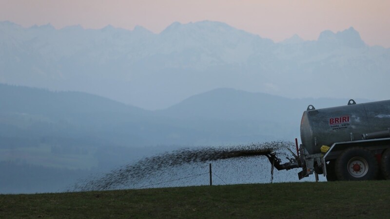 Deutschland hat nach wie vor zu hohe Nitratwerte im Trinkwasser.