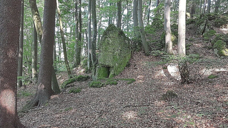 Letzte Ruhe unter Bäumen: Auf dem Ruselabsatz ist ein "Stiller Wald" geplant.