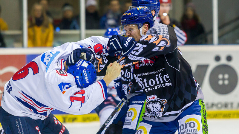 Die Straubing Tigers (rechts Alexander Dotzler) haben Meister Mannheim niedergerungen.