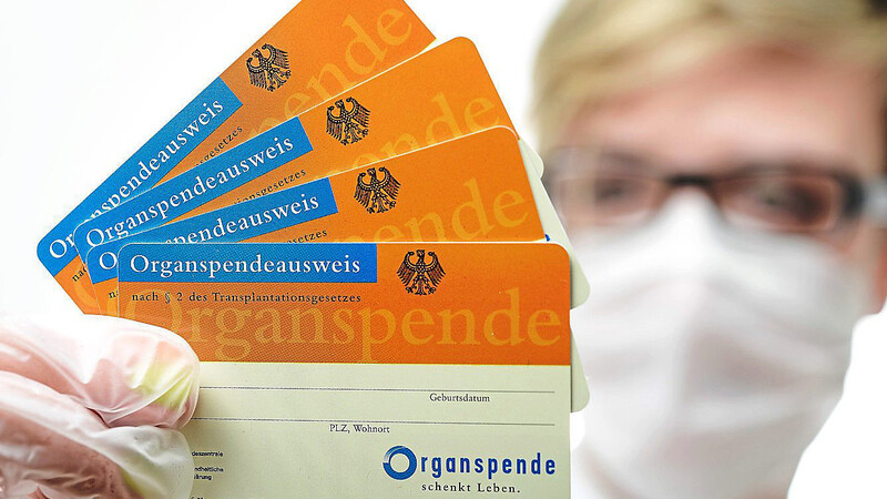 Einen Organspendeausweis besitzen zu wenige, findet die Politik.