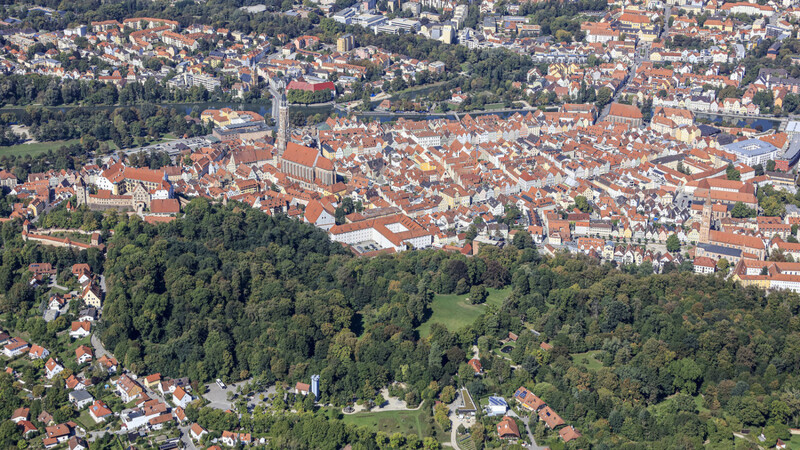 Die wichtige Rolle der Bäume in der Stadt beziehungsweise des Waldes im Allgemeinen wird bei mehreren Veranstaltungen thematisiert.