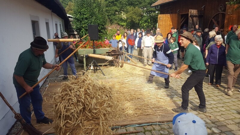 Eindrücke vom Drescherfest der "Pastritztaler" in Schafberg.