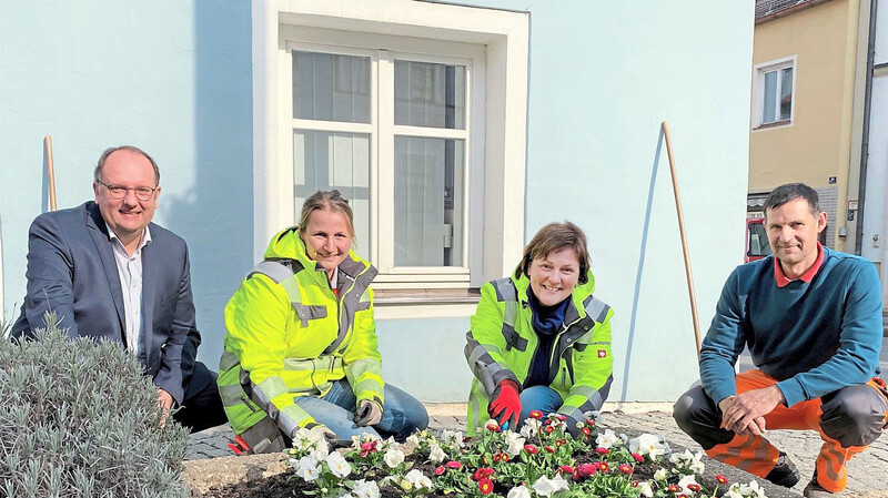 Das Beet vor dem Rathaus ist das letzte, das die Grünanlagenpflegerinnen um Sabrina Schreyer (2.v.l.) und Conny Morawe (2.v.r.) noch mit Frühjahrsblühern bepflanzen. Bürgermeister Herbert Lichtinger (links) und stellvertretender Bauhof-Leiter Armin Troppmann (rechts) zeigen sich zum Auftakt der Saison dankbar für die unermüdliche Arbeit der Frauen.