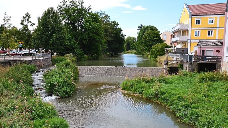 Mit einem Durchlauf von weniger als 300 Liter pro Sekunde durchquert das Wasser der Abens zurzeit die Hopfenstadt.