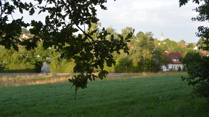 Von der Holzhausener Straße soll ein Fußweg zum Theobald-Park entstehen.