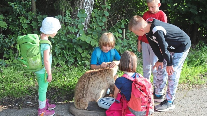 Die Kinder durften die ausgestopften Biber aus der Nähe begutachten und auch anfassen.