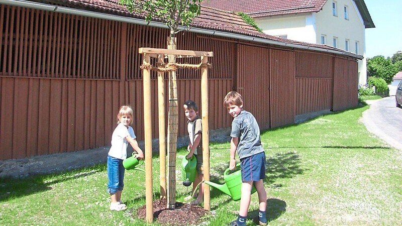 Erinnerung: : Karin, Markus und Fabian gießen 2009 die neu gepflanzte Wildbirne im Rahmen der Aktion "Unser Dorf soll schöner werden."