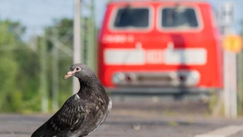 Der Streik bei der Deutschen Bahn ist vorerst beendet.