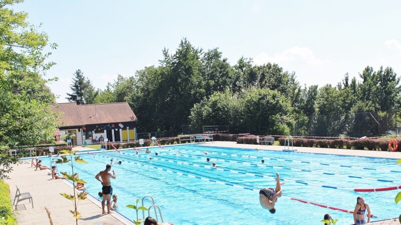 Die Schwimmer genießen die Runden in ihren vorgegebenen Bahnen, es ist auch noch Platz für einen Sprung kopfüber ins Becken.