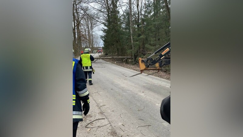 Mit vereinten Kräften wurde die Straße wieder befahrbar gemacht.