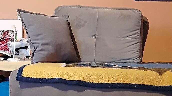 Die Drogen in der Couch wurden von einem Spürhund entdeckt.