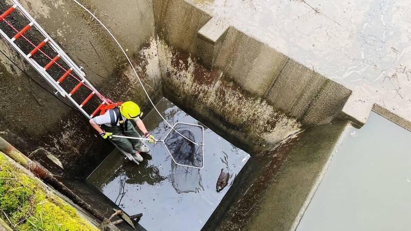 Die Freiwillige Feuerwehr Landshut hat einen Biber aus einem Schacht befreit.