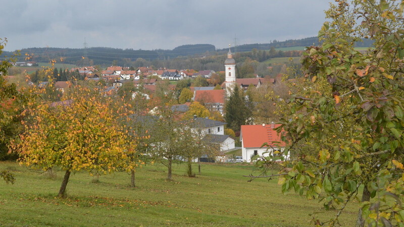 Noch ist die Streuobstwiese unberührte Landschaft und wird später jungen Familien Heimat geben.