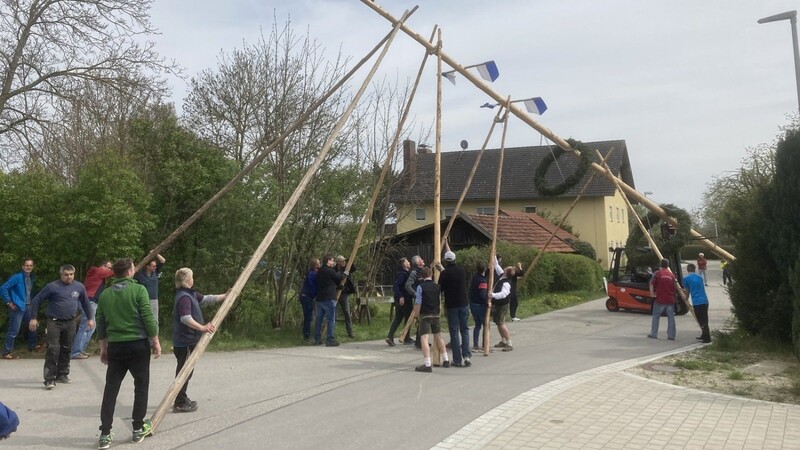 Mit vereinten Kräften sorgte die Dorfgemeinschaft dafür, dass der Baum schon eine Woche früher seinen Platz einnahm.