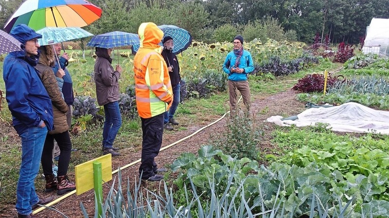 Die Gäste informierten sich über die Beetreihen des "Biogartls" in Neutiefenweg. Im Anbau wird darauf geachtet, dass der Boden nur minimal bearbeitet wird und möglichst immer bedeckt bleibt, um so das Bodenleben zu fördern, Humus aufzubauen und die Erträge zu steigern.