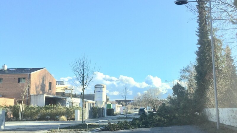 Der starke Wind sorgte am Sonntagnachmittag dafür, dass ein Baum auf die Georg-Kelnhofer-Straße fiel.