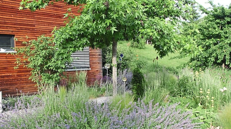 Einen seltenen Amber-Baum und fein aufeinander abgestimmte Stauden bietet der Garten von Gabi und Helmut Landwehrs im Ortsteil Scheibelsgrub.
