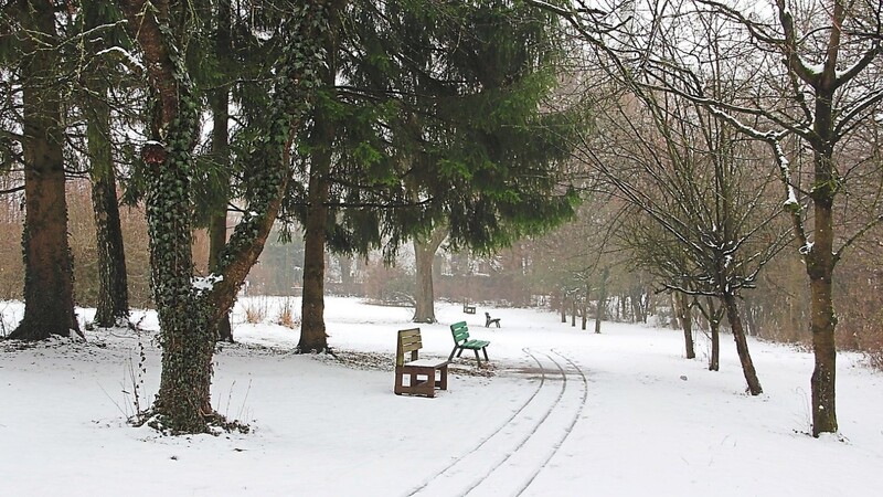 Der Altenheimpark in Blickrichtung Plattlinger Straße. Die verkaufte Grundstücksfläche ist noch nicht abgesteckt.