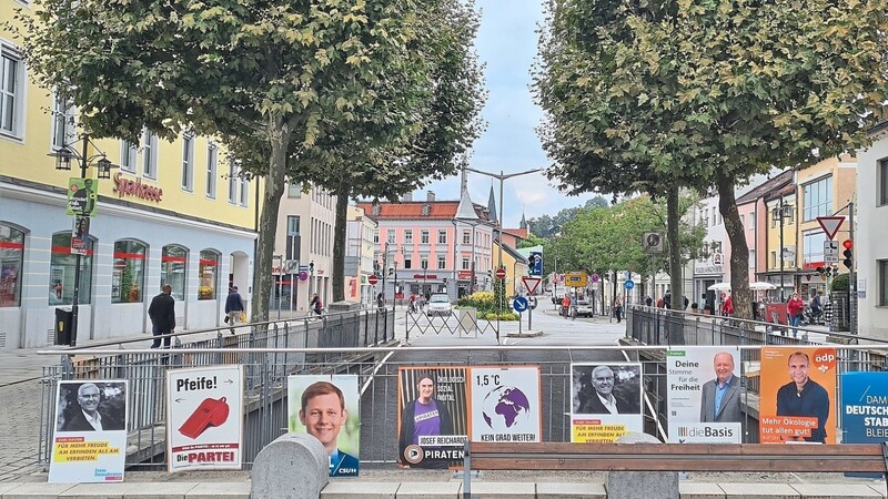 Selten war die Parteienvielfalt so bunt wie bei der bevorstehenden Bundestagswahl. Dies äußert sich auch in den Wahlplakaten.