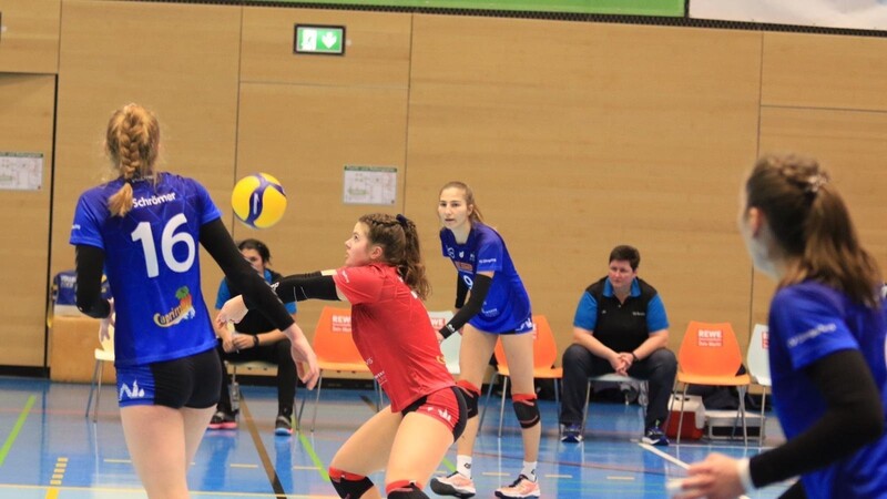 Haben einen Lauf: die Volleyballerinnen des TV Dingolfing.