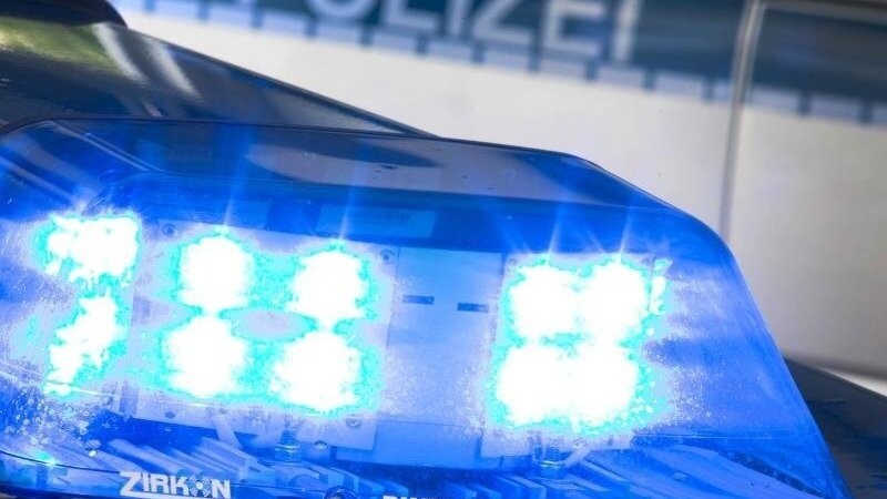 Ein Blaulicht leuchtet auf dem Dach eines Polizeiwagens. Foto: Friso Gentsch/dpa/Symbolbild