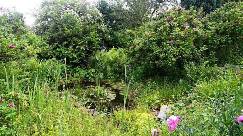 In einem Naturgarten - dieser hier ist bei Gotteszell - darf es etwas wild sein. Hier kann man Natur im eigenen Garten erleben und genießen.