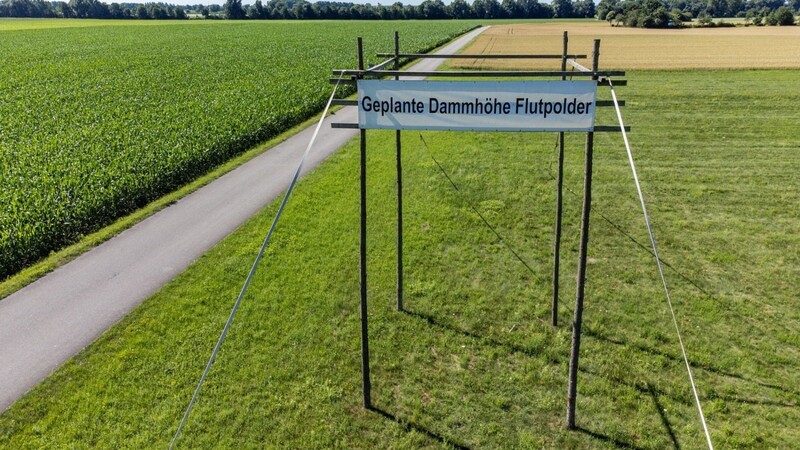 Diese Holzkonstruktion in Wörth an der Donau zeigt die geplante Dammhöhe der Polder.