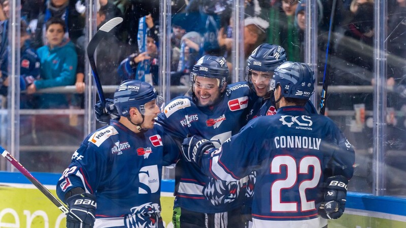 Können sich die Straubing Tigers auch heute über einen Sieg freuen? Am Dienstag bezwangen sie im Heimspiel die Grizzlys Wolfsburg mit 5:3.