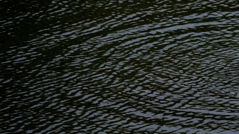 Im Wasser der Pfettrach in Landshut ist am Freitag die Leiche eines 60-jährigen Mannes gefunden worden. (Symbolbild)