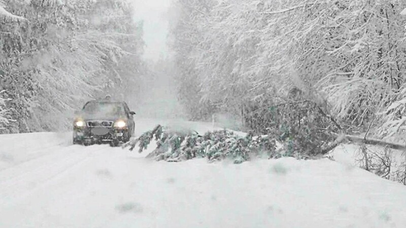 Besonders schlimm trafen die Schneemassen am Sonntag die Landkreise Kelheim und Regensburg. - Das bedingte auch den Schulausfall in Mallersdorf-Pfaffenberg.