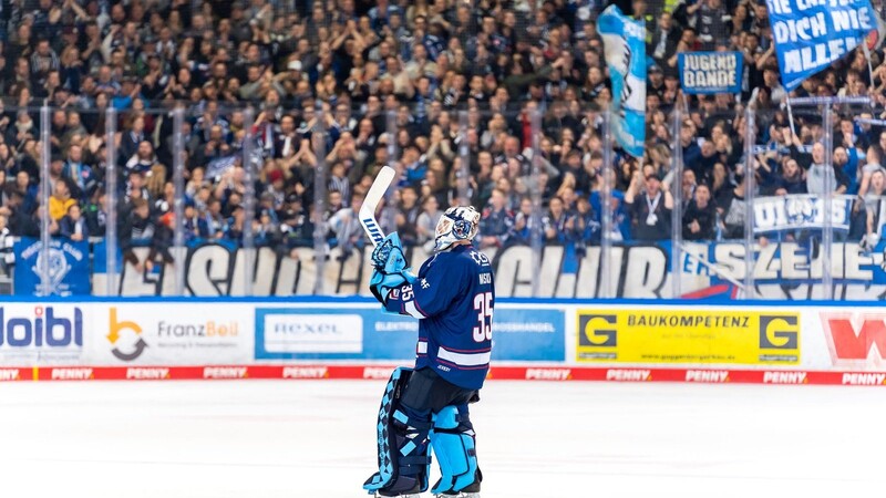 Spätestens seit dem 5:0-Shutout gegen Wolfsburg am vergangenen Freitag am Pulverturm weiß man, dass es eine gute Entscheidung der Tigers-Verantwortlichen war, mit Goalie Hunter Miska auch in die nächste Saison zu gehen. Was jetzt noch fehlt zum Glück, wären ein paar Big Saves des US-Amerikaners im entscheidenden siebten Spiel gegen Wolfsburg und der Halbfinal-Einzug.