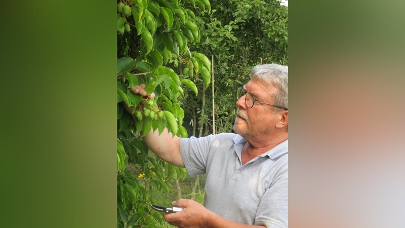 Peter Fischer, der für den Anbau der "Bayern-Kiwi" warb.