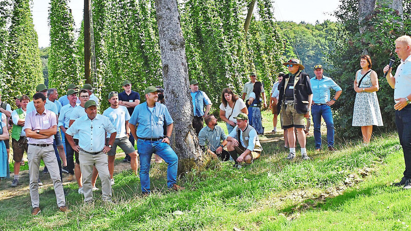 Einen Blick auf die Entwicklung des Hopfens während der Saison warf Georg Kindsmüller vom Hopfenring.