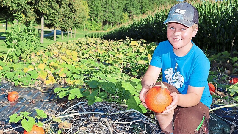 Nachwuchs-Landwirt Lukas Lehermeier präsentiert seine Kürbisernte.