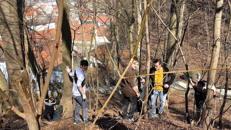 Auch am steilen Mainburger Salvatorberg gab es für die Mittelschüler jede Menge Arbeit.