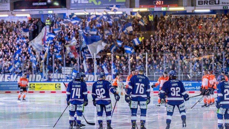 Halbfinale oder Saisonende? Für die Straubing Tigers ist das letzte Spiel im Viertelfinale entscheidend. Sollten sie gewinnen, geht es am Freitag nach München.