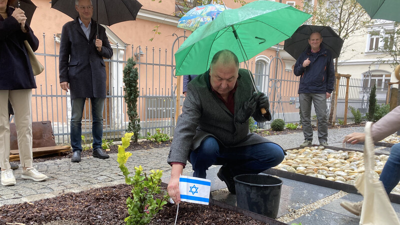 Erhard Grundl verzierte die junge Ulme mit einem Israel-Fähnchen.