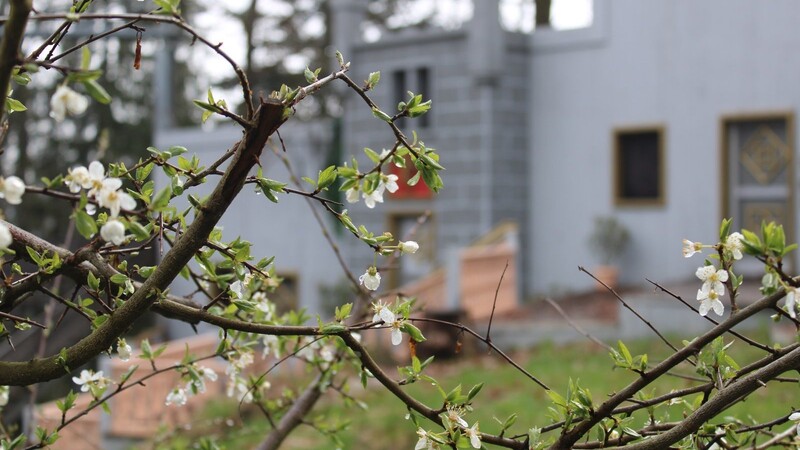 Wenn die Natur wieder erwacht, geht es am Ludwigsberg rund: Dann findet der erste "Bergfrühling" der Festspielgemeinschaft Kötzting statt. Beginn ist um 11 Uhr, Ende um 19 Uhr.