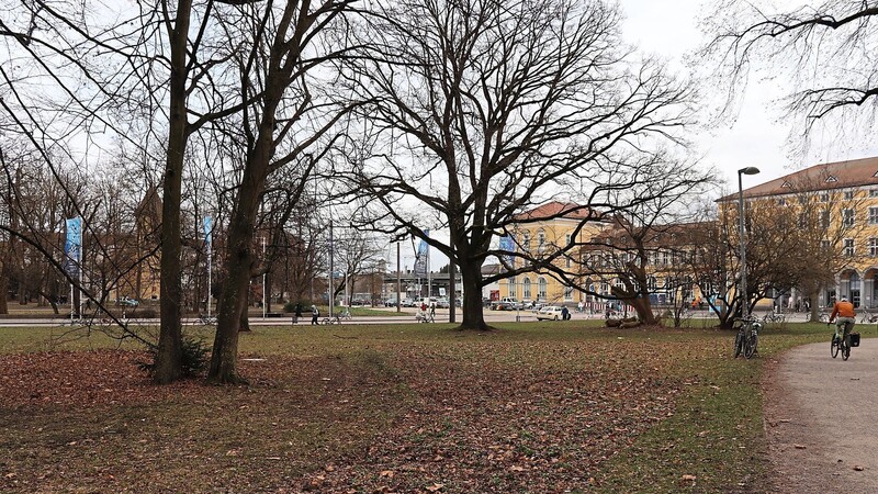 Das Bahnhofsviertel war viel in den Schlagzeilen - Kriminologe Henning Ernst Müller sieht in Regensburg keine Schieflage der Verhältnisse.