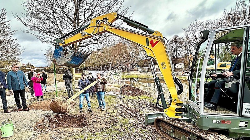 Mit Unterstützung der beiden Stadtgärtner brachte der Bürgermeister den Baum in Position.