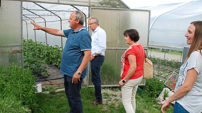 Helmut Ettl (links) weist auf Hopfenpflanzen und Brennnesseln neben der Gewächshaustür hin. Interessiert hören ihm Kreisfachberaterin Simone Schmitt, OGV-Kreisvorsitzende Monika Edenhofer und Landrat Josef Laumer (von rechts) zu.